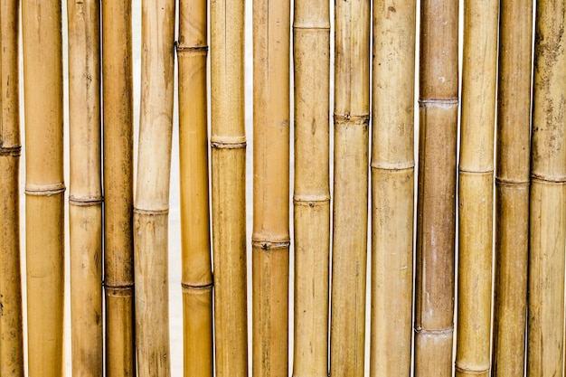 Bamboo dry yellow segment pattern background