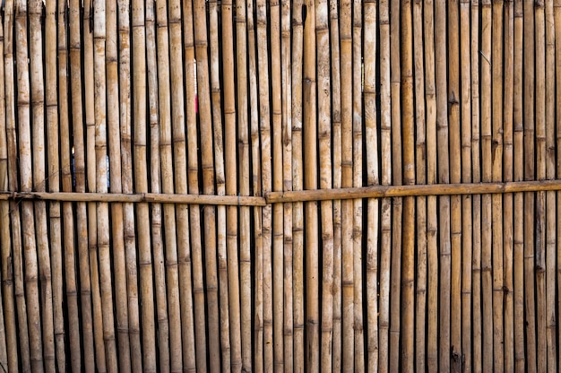 Bamboo fence for background