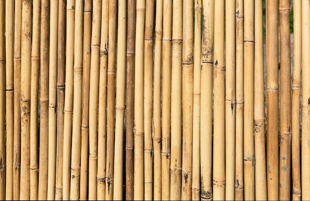 Bamboo fence closeup, background, texture