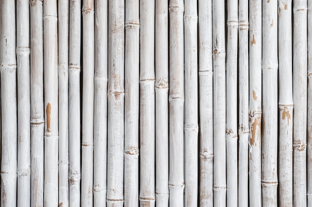 Bamboo fence texture