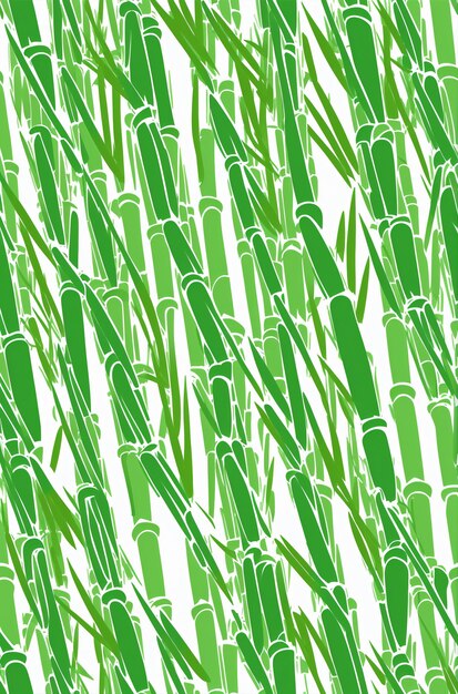 Photo bamboo forest background