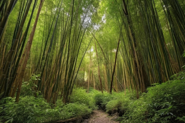 Bamboo forest with whispering wind towering trees and rare plants created with generative ai