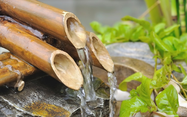 Bamboo fountain