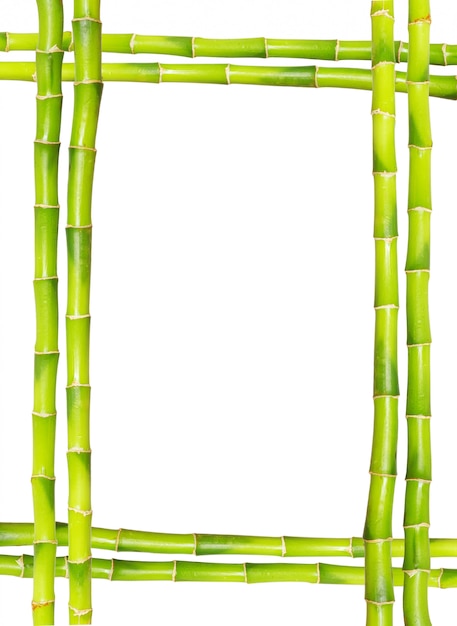 Photo bamboo frame with copyspace