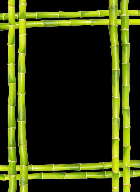 Bamboo frame