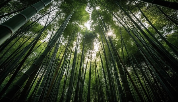 Bamboo grove tranquil scene beauty in nature generated by AI