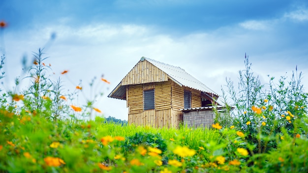 Bamboo house on Terraced green rice paddy field in cloudy day , Chaingmai , Thailand