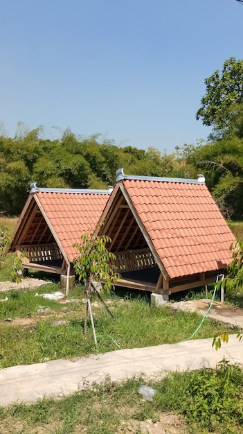 Фото Бамбуковые дома, беседки, традиционные экстерьеры домов, снятые с близкого расстояния