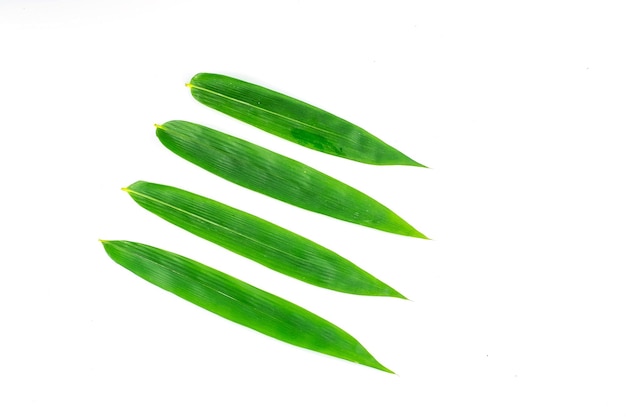 Bamboo leaf isolated on white background