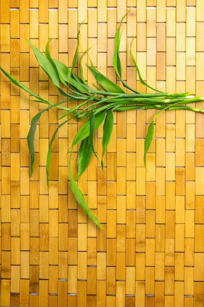 Bamboo leaves and branches on bamboo mat flat lay copy space