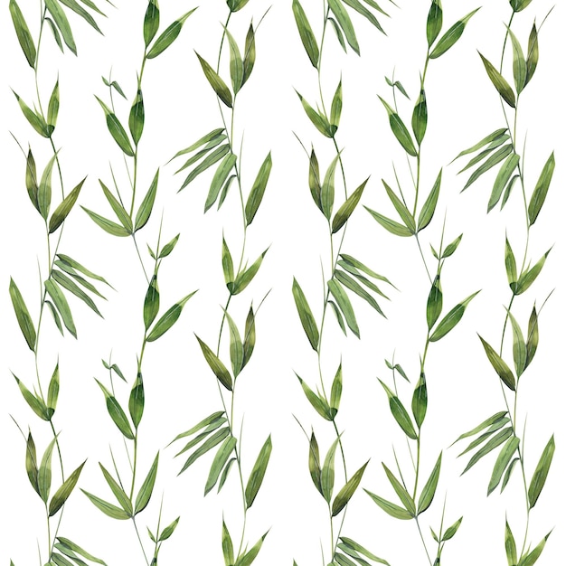 Bamboo leaves and twigs on a white background Watercolor illustration Seamless pattern For fabric textiles wallpaper covers prints packaging paper scrapbooking clothing bed linen