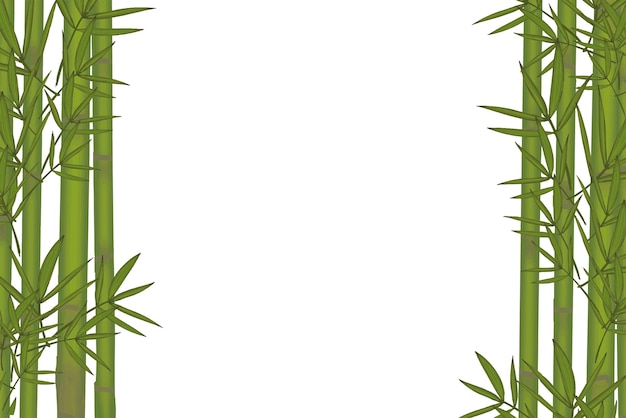 Бамбуковая граница png прозрачный фон