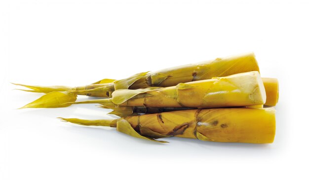 Bamboo shoot on white wall