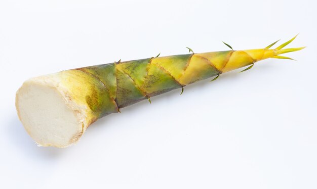 Bamboo shoot