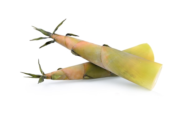 Bamboo shoots fresh isolated on white