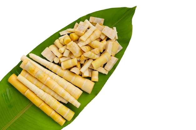 Bamboo shoots on green leaf on white background.