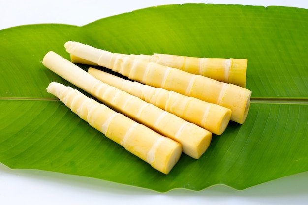 Bamboo shoots on green leaf