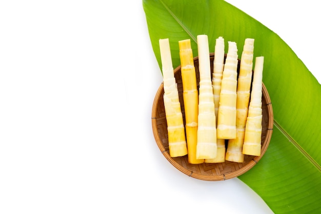 Bamboo shoots on white background