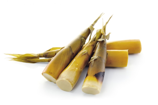 Bamboo shoots on white wall