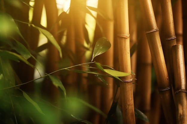 Фото Бамбуковые палочки в ряд с зелеными листьями и сияющим сквозь них солнцем