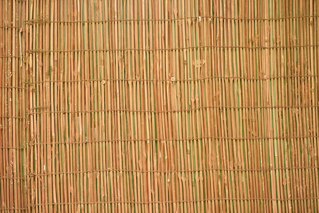 Bamboo Texture 