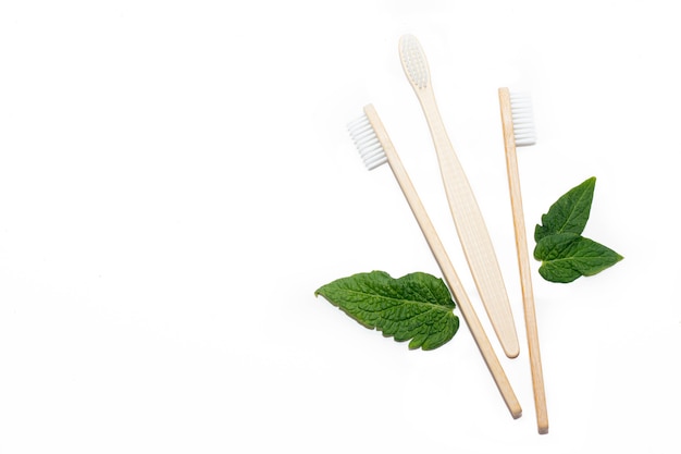 Bamboo toothbrush and green leaves