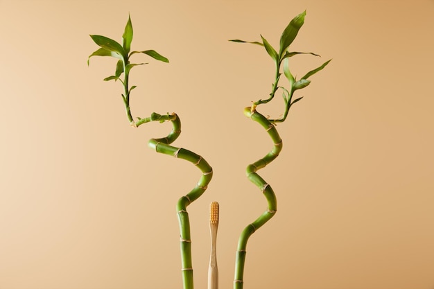 Foto spazzolino da denti di bambù con bambù verde su sfondo beige