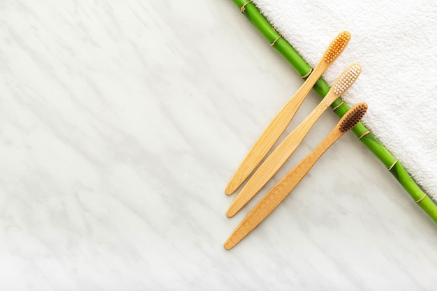 Bamboo toothbrushes, bamboo plant. Flat lay. Natural bath products.