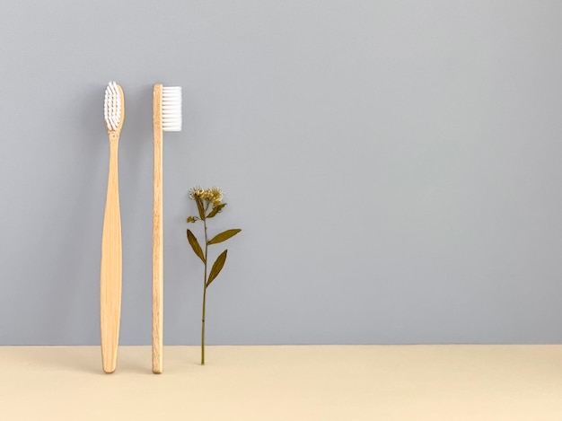 Bamboo toothbrushes stand by a gray wall dried plant modern ecological concept copy space