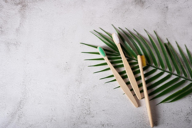 Bamboo toothbrushes with multicolored bristles on a palm leaf