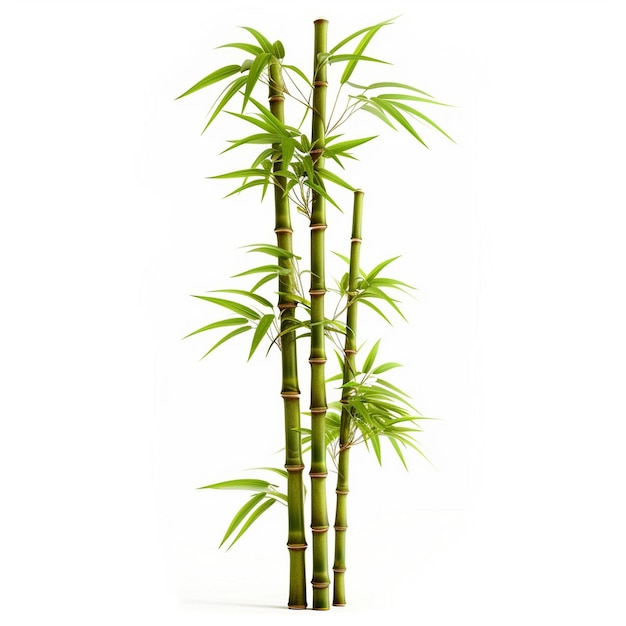 Bamboo tree leaf plant stem and stick 3d bamboo tree Ai Generative