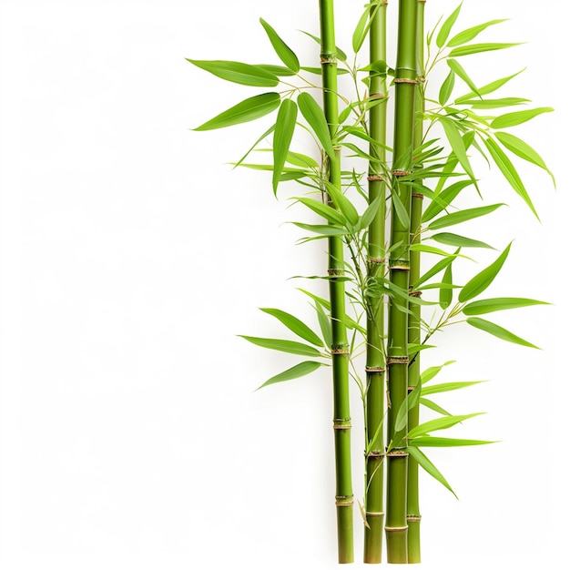 Бамбуковое дерево листья растения стебель и палка 3d бамбуковоё дерево Ai Generative