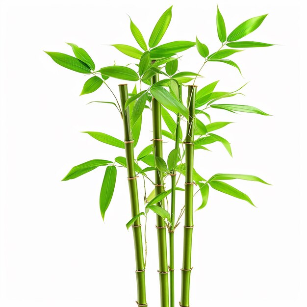 Bamboo tree leaf plant stem and stick 3d bamboo tree ai generative