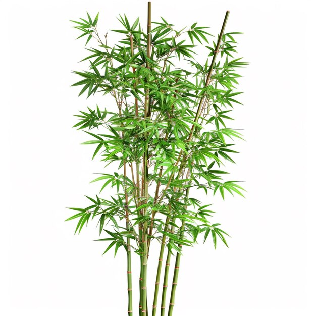 Bamboo tree leaf plant stem and stick 3d bamboo tree Ai Generative