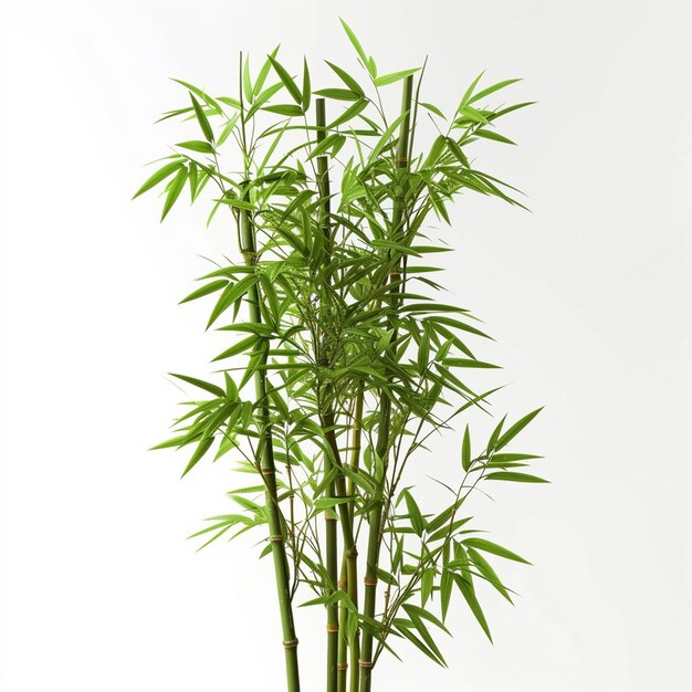 Bamboo tree leaf plant stem and stick 3d bamboo tree Ai Generative