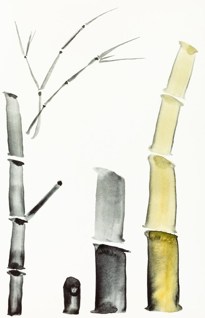 Photo bamboo trunks are hand drawn on creamy paper