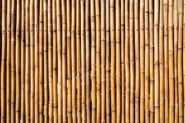 Bamboo wall background