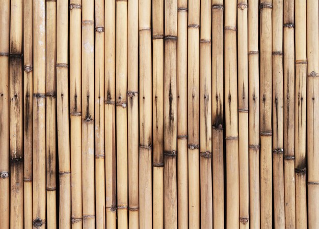 Bamboo wall background