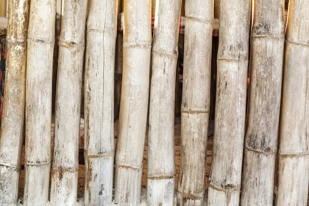 Bamboo wall/background