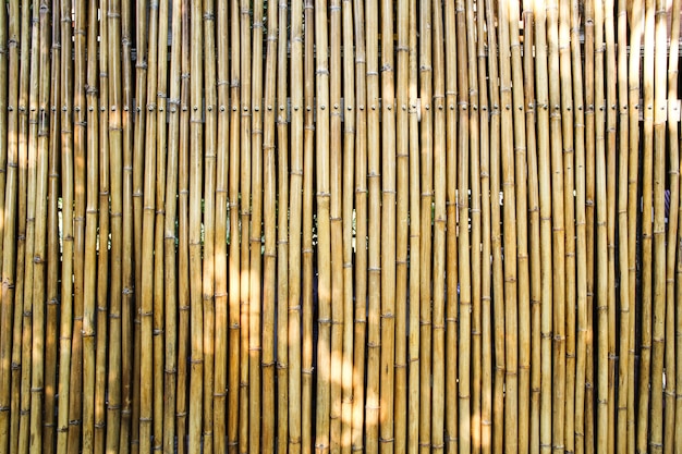 Bamboo wall or bamboo background