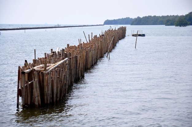 Bamboo wall barrier in sea ocean for protect wave coastal erosion at seaside and seascape brackish water bangkhuntien with Mangrove forest at Bang Khun Thian District in Bangkok Thailand