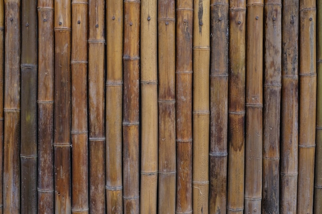 Photo bamboo wall house