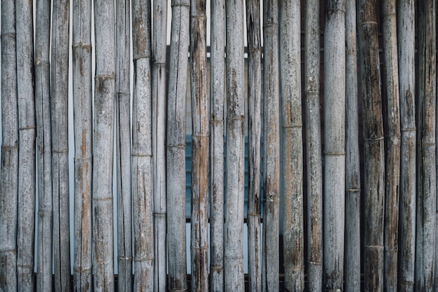 Sfondo di bambù legno frence.