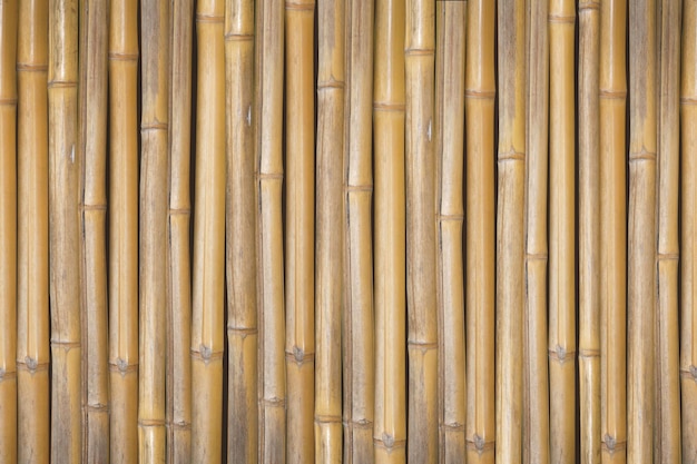 Bambooo wood wall background
