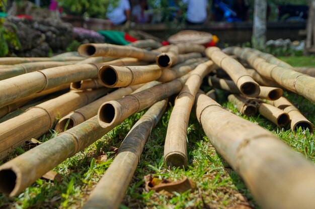 bamboos on field