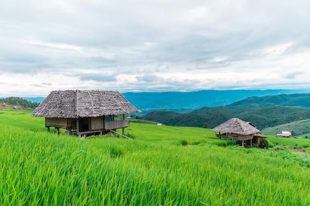 Ban Pa Bong Piang rijstterras