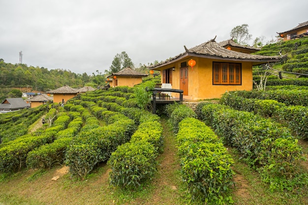 Ban rak thai, een chinese nederzetting in de provincie mae hong son, noord-thailand