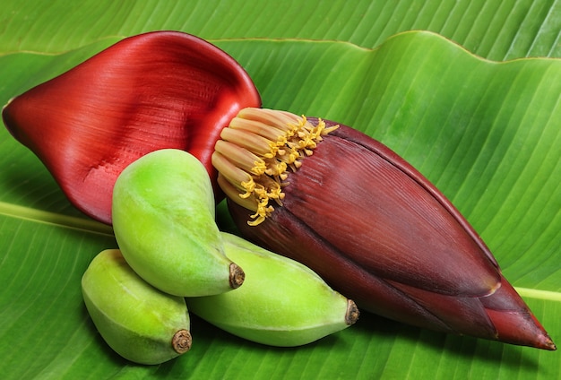 Banaan, bananenbloem gegeten als heerlijke groente. fruite, bloem in thailand.