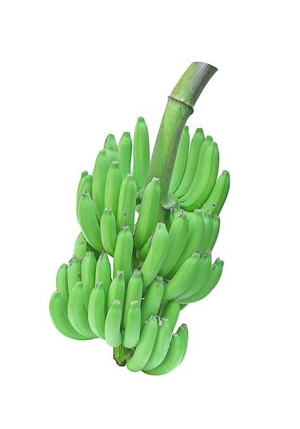 Banaan geïsoleerd