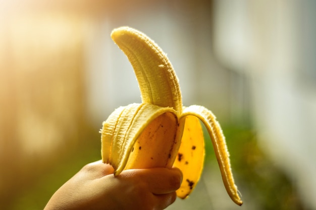 Banaan in de hand, zoet en heerlijk fruit,